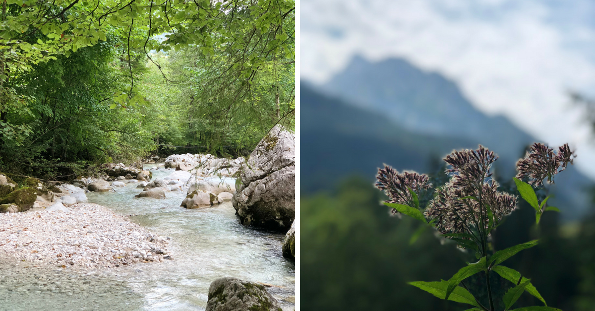 Ausflug Berchtesgaden Zauberwald