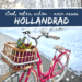 Hollandrad Retrobike FALTER